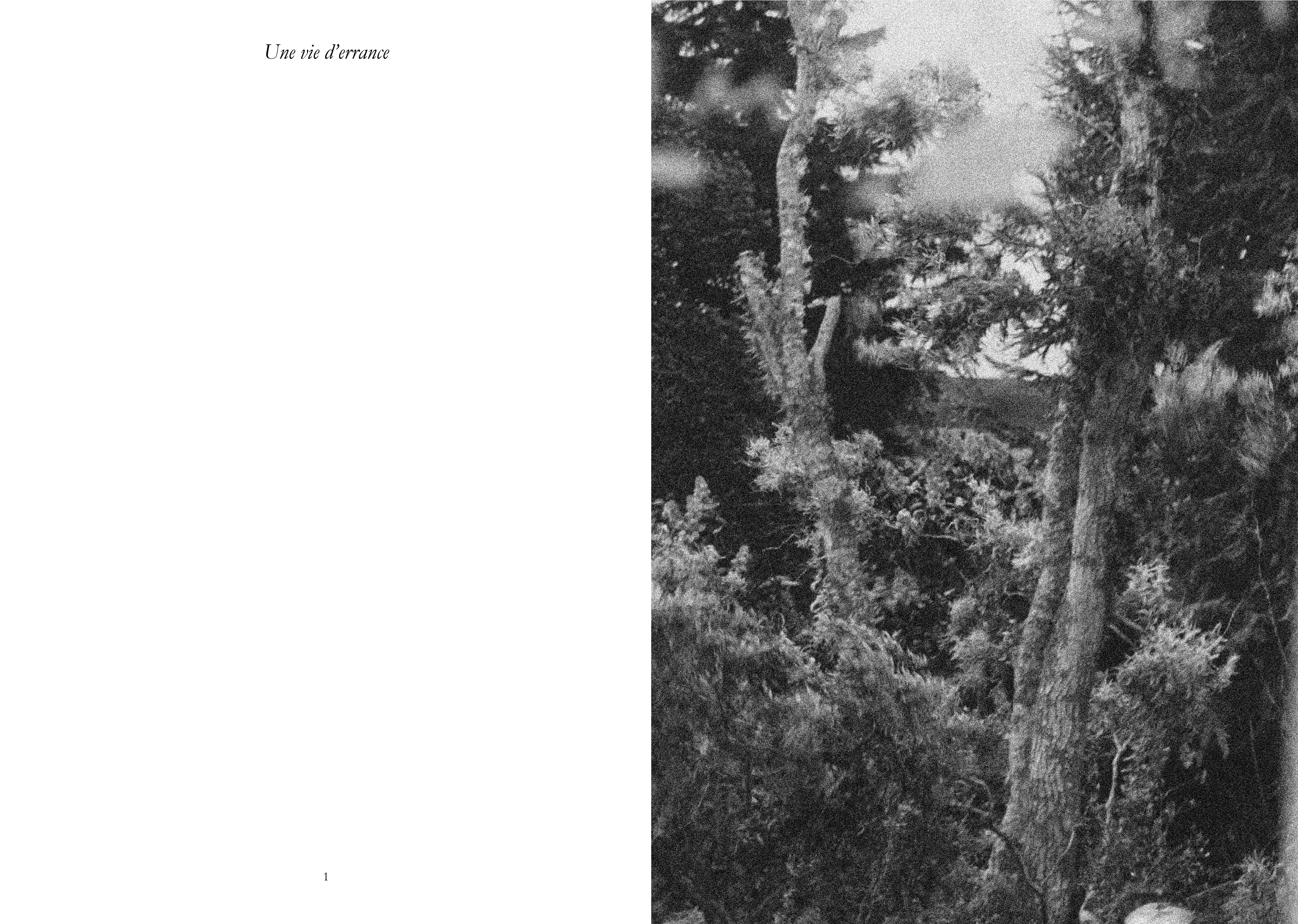Une_vie_d'errance_2!